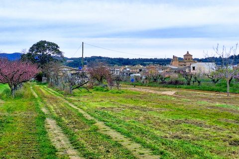 Finca a Ginestar, Tarragona, Ginestar - € 28.000 | Ref: CC839 - foto 14